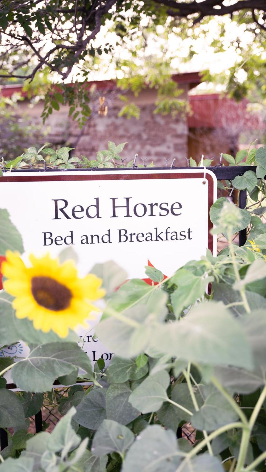 Bed & Breakfast Red Horse 3*