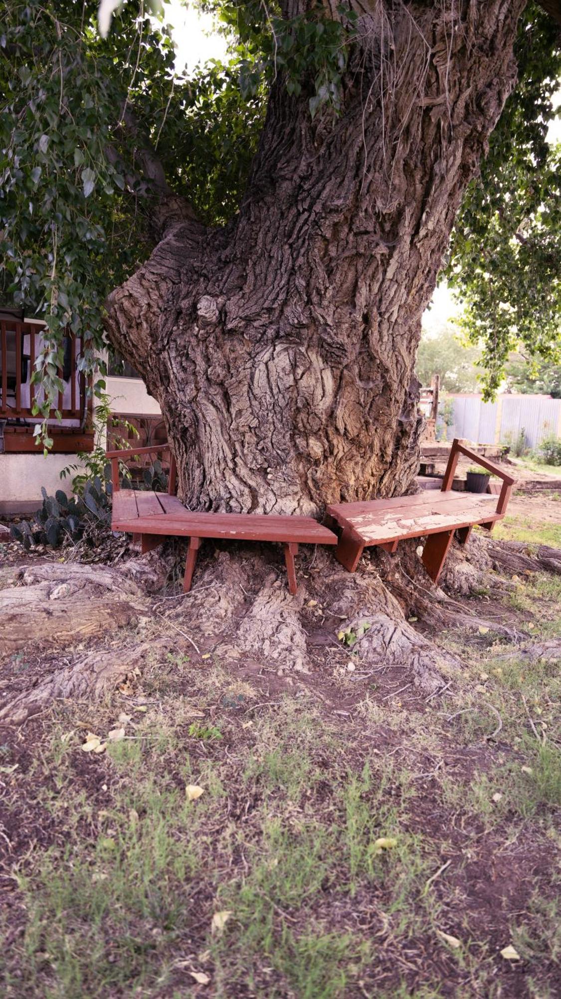 Red Horse Bed and breakfast Albuquerque